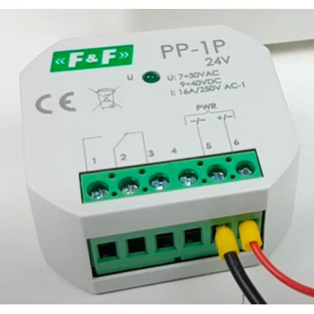 External probe PZ2